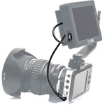 SmallHD Cable for Powering Blackmagic Pocket Cinema Camera from FOCUS Monitor (12")