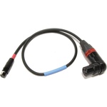 Cable Techniques XLR-3F Right Angle to TA3F Balanced UCR Receiver Cable to SD (18", Red XLR Ring)