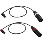 Cable Techniques Low-Profile TA3F to Straight XLR-3M Male Cable for Rode Stereo VideoMic X (Pair, 24")