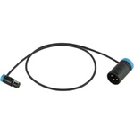 Cable Techniques 24" Low-Profile LPS TA3F To LPXLR-3M Cable (Blue)
