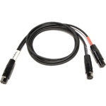 Cable Techniques CT-PT3LT2-24 - TA3F to 2x TA5F Connectors Cable (24")