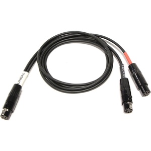 Cable Techniques CT-PT3LT2-24 - TA3F to 2x TA5F Connectors Cable (24")