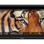 Atomos Shinobi 7 II – 7″ Camera Monitor