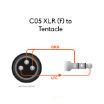 Tentacle XLR (f) to Tentacle - Timecode Cable